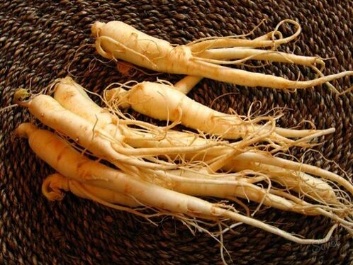Ρίζα ginseng για αύξηση της ισχύος μετά τα 60